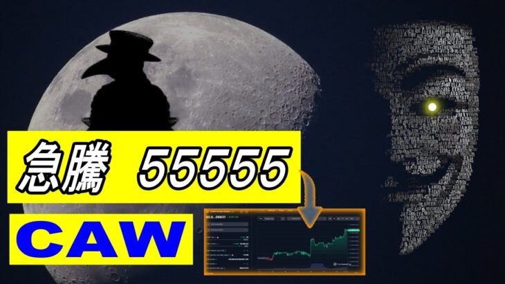 CAW【A Hunters Dream】7日間で63％急騰！答えは「55.555×2」【仮想通貨】